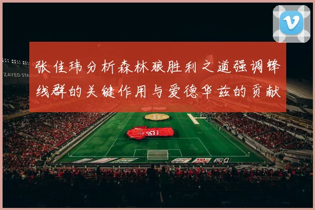 张佳玮分析森林狼胜利之道强调锋线群的关键作用与爱德华兹的贡献