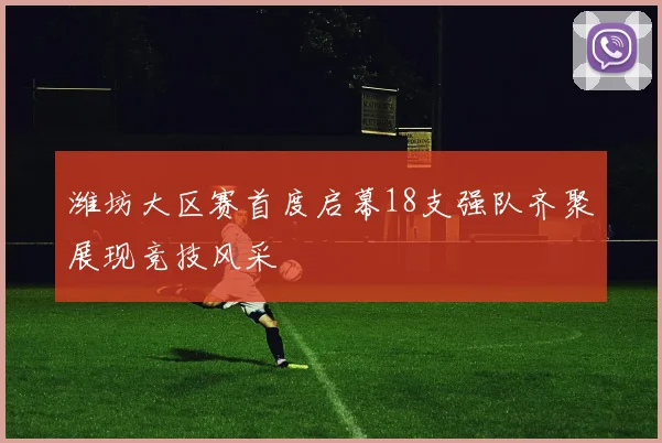 潍坊大区赛首度启幕18支强队齐聚展现竞技风采