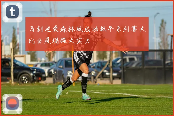 马刺逆袭森林狼成功扳平系列赛大比分展现强大实力