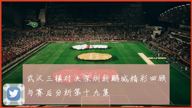武汉三镇对决深圳新鹏城精彩回顾与赛后分析第十九集